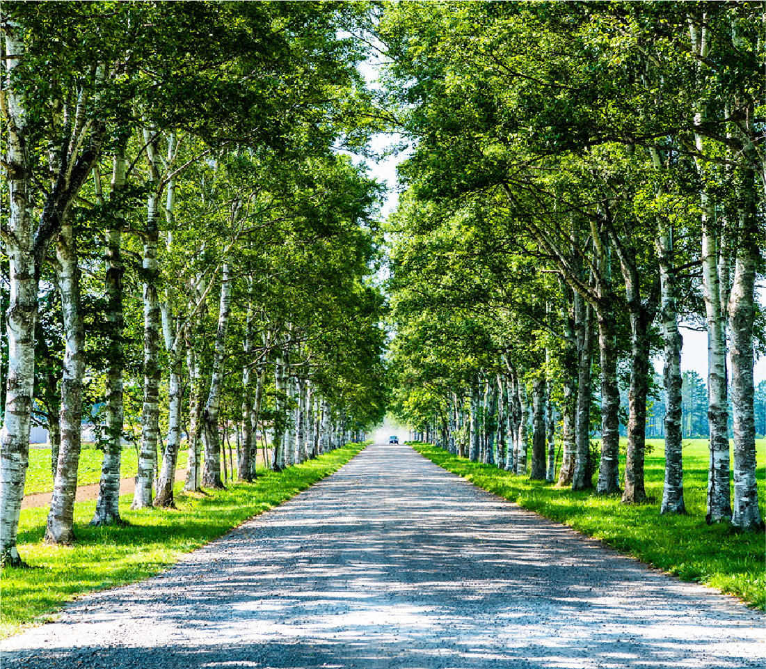 地域に密着した高い実績のイメージ
