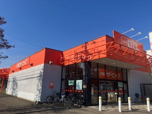 ザ・ビッグエクスプレス 春駒通店