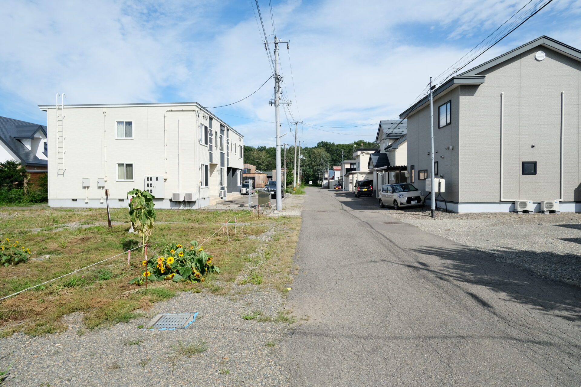 南側道路（東向き）